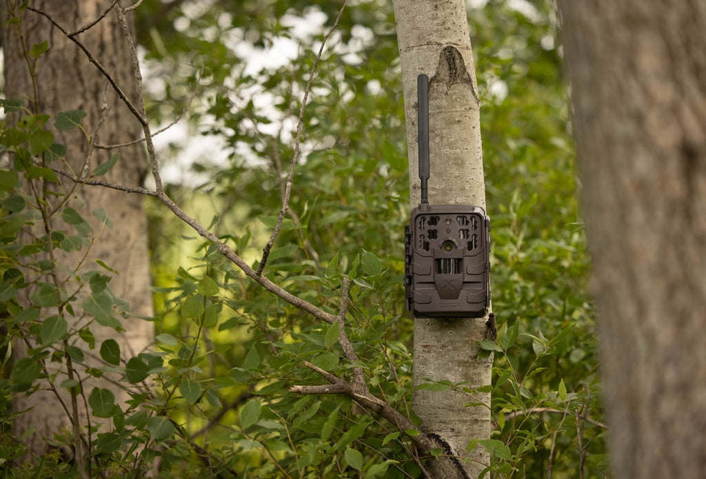 Come camuffare una fototrappola ?