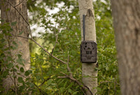 Comment camoufler une caméra de chasse ?