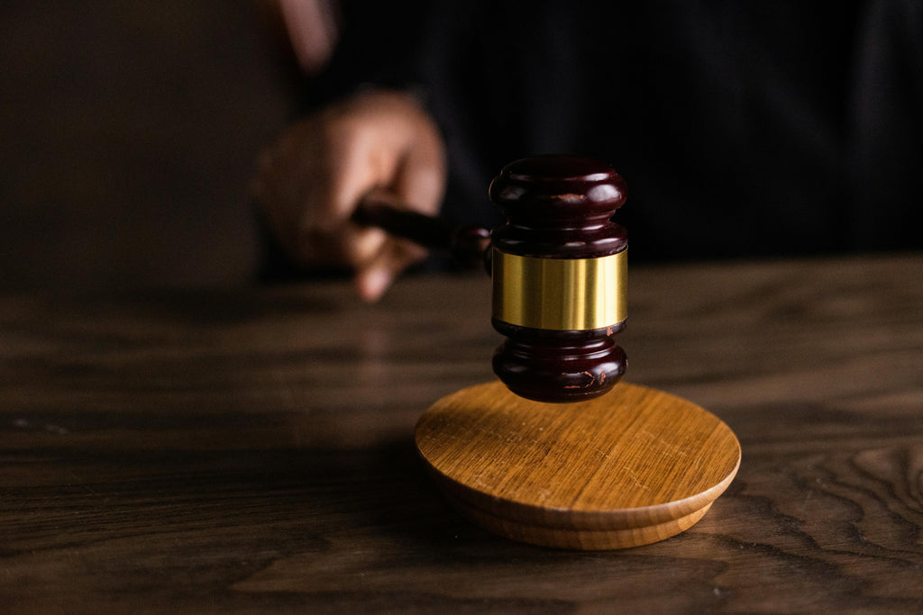 Fototrappola : cosa dice la legge ?